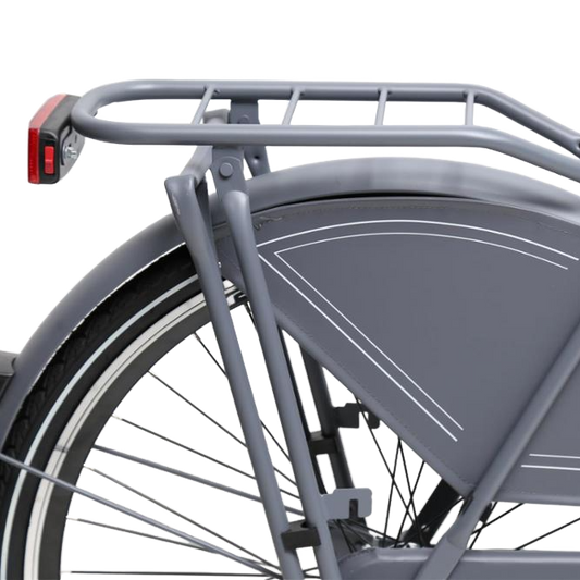 3. ASHEN-GREY WHEELS: ADULT CITY BIKE.