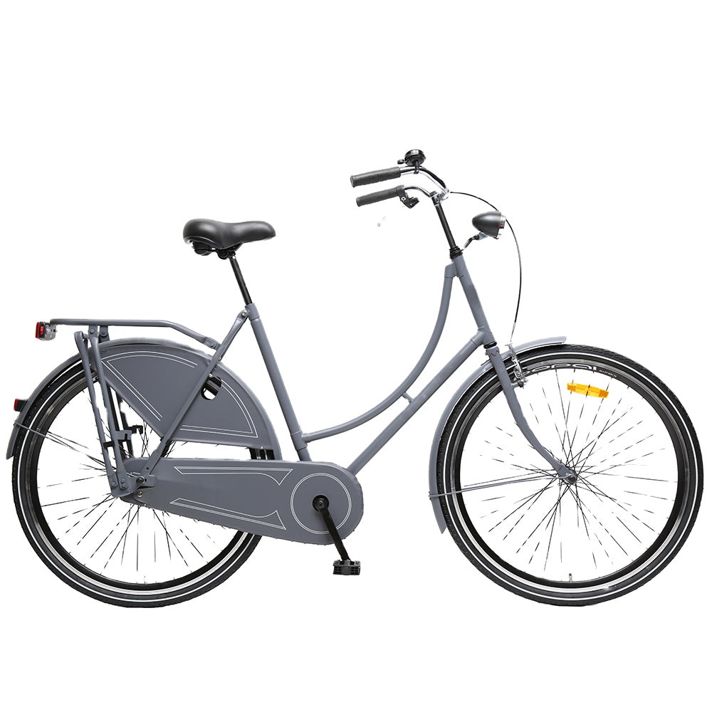 3. ASHEN-GREY WHEELS: ADULT CITY BIKE.